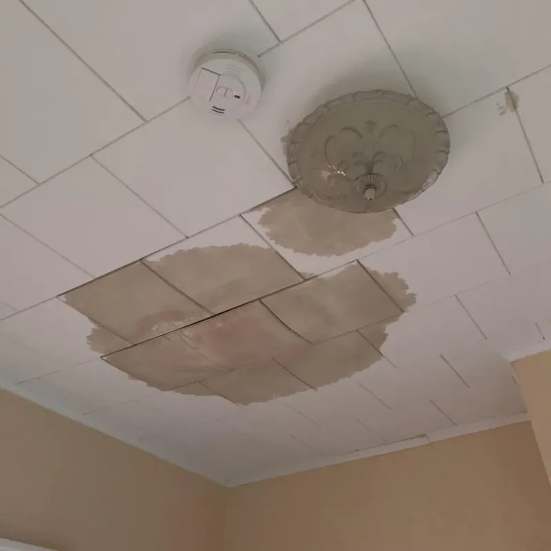 Ceiling Water Damage Repair in Coal City, IL