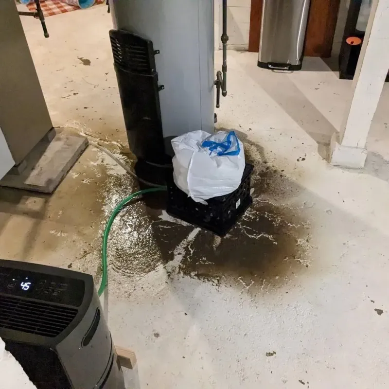 Sewage Backup Cleanup Service in Coal City, IL